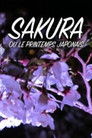 Sakura ou le printemps japonais
