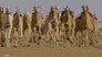 Shifting Sands