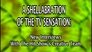 A Shellabration of the TV Sensation