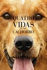 Image Quatro Vidas de um Cachorro