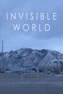 Invisible World