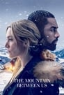 The Mountain Between Us / მთა ჩვენ შორის