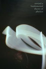 Toward a Fundamental Theory of Physics