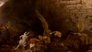 Lost Cities of the Amazon