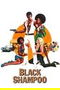 Black Shampoo poster