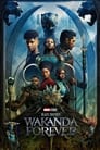Black Panther Wakanda Forever (2022) Hindi Dubbed Original HD