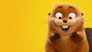 2026 - Jumpers - Un salto tra gli animali thumb