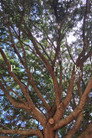 Park.