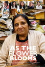 As The Flower Blooms
