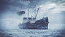 The Mystery of Flight 1628 and The Giant Thunderbird