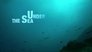 Under the Sea
