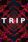 Trip