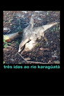 Três idas ao Rio Karagûatá
