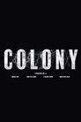 Colony