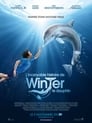Image L’incroyable histoire de Winter le dauphin