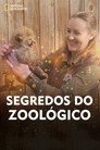 Temporada 4