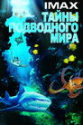 Постер: Тайны подводного мира