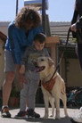 Dogs That Change Lives