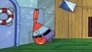Patrick's Staycation