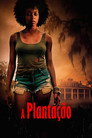 A Plantação