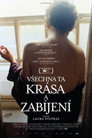 Všechna Ta Krása A Zabíjení Celý Film CZ (2022)
