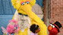 Image Sesame Street