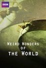 Weird Wonders of the World Episode Rating Graph poster