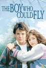 Movie poster for The Boy Who Could Fly