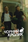 Чорний кролик