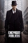 Enemigos Publicos