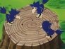 Image Pokémon