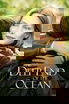 The Deep End of the Ocean poster