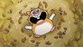 Hampered Hamster