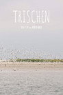 Trischen