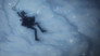 The Duke, Alice, and Memories of Snow