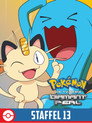 Staffel 13: DP: Sieger der Sinnoh-Liga