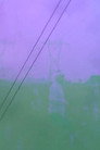 Monograph in Stereo
