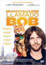 Imagen Un gato callejero llamado Bob