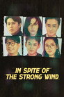 In Spite of the Strong Wind