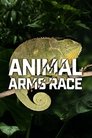 Animal Arms Race Episode Rating Graph poster