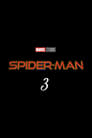 Untitled Spider-Man 3