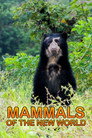 Mammals Of The New World Celý Film CZ (2010)