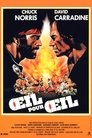 OEil pour OEil OEil pour OEil