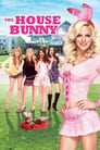 Movie poster for The House Bunny