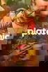 Platonic poster