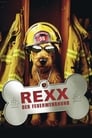 Rexx, der Feuerwehrhund