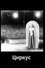 Circus