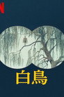 白鳥