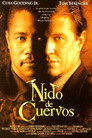 Nido de cuervos