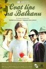 Cvat lipe na Balkanu Episode Rating Graph poster